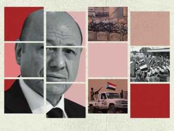 مستشار بن زائد يصف العليمي بالمتسول