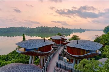 منتجع Mandai Rainforest: تجربة إقامة فاخرة وسط الغابة المطيرة في سنغافورة