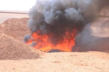 بإشراف يمني-سعودي.. إتلاف شحنات ضخمة من المخدرات والمهربات في منفذ الوديعة