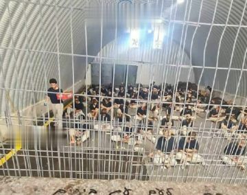 نادي الأسير الفلسطيني :الإفراج عن الأسرى لا ينهي الجريمة وشهاداتهم أدله حية على ذلك نادي الأسير الفلسطيني :الإفراج عن الأسرى لا ينهي الجريمة وشهاداتهم أدله حية على ذلك