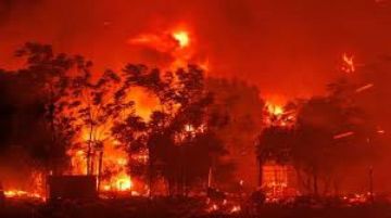 15 قتيلا على الأقل وإجلاء خمسين ألف شخص جراء الحرائق في جنوب تشيلي