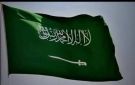 وعد برفع أعلام المملكة فوق البيوت في الجنوب ووسم يومي السعوديه_الحليف_الصادق! - ye