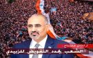 مخاطبا الزبيدي.. هاني بن بريك : لم تخطئ في حق الجوار أبدا، وكنت الأبر الصادق - ye