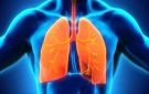 نصائح لتعزيز صحة الجهاز التنفسي.. تعرف عليها