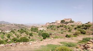 وفاة فتاة أثر سقوطها في بئر مياه بمديرية جحاف الضالع وفاة فتاة أثر سقوطها في بئر مياه بمديرية جحاف الضالع