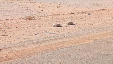 الأجهزة الأمنية في شبوة تحبط مخططا إرهابيا وتفكك 3 عبوات ناسفة على الخط الدولي الأجهزة الأمنية في شبوة تحبط مخططا إرهابيا وتفكك 3 عبوات ناسفة على الخط الدولي