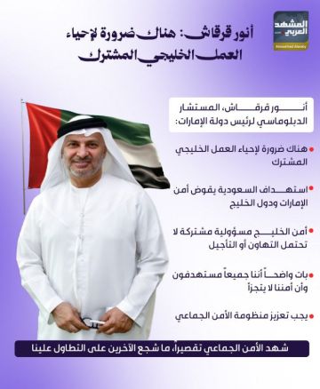 أنور قرقاش: هناك ضرورة لإحياء العمل الخليجي المشترك أنور قرقاش: هناك ضرورة لإحياء العمل الخليجي المشترك
