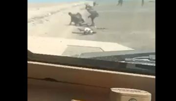 جريمة حرب مكتملة.. لجنة الأسرى بصنعاء تحمل السعودية مسؤولية تصفية الأسرى جريمة حرب مكتملة.. لجنة الأسرى بصنعاء تحمل السعودية مسؤولية تصفية الأسرى