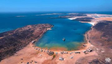 قوات العمالقة الجنوبية تحاصر فلول الحوثيين في جزيرة ميون وتدعوهم لتسليم أنفسهم قوات العمالقة الجنوبية تحاصر فلول الحوثيين في جزيرة ميون وتدعوهم لتسليم أنفسهم