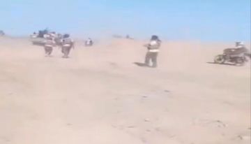 عاجل : تأمين الممر الدولي.. الحوثيون يستسلمون في ميون عاجل : تأمين الممر الدولي.. الحوثيون يستسلمون في ميون
