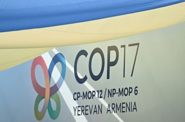 الأرجنتين وكولومبيا والبرازيل... اليمين يقلق كوب17 الأرجنتين وكولومبيا والبرازيل... اليمين يقلق كوب17