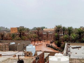 بدء تأثيرات منخفض جوي على سقطرى وهطول أمطار بدء تأثيرات منخفض جوي على سقطرى وهطول أمطار