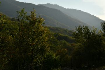تدمير الغابات يزيد التحديات على طريق السلام بين أرمينيا وأذربيجان تدمير الغابات يزيد التحديات على طريق السلام بين أرمينيا وأذربيجان