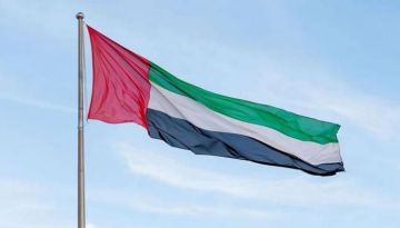 الإمارات تتقدم عالميا في المعاشات التقاعدية.. ماذا تغير؟ الإمارات تتقدم عالميا في المعاشات التقاعدية.. ماذا تغير؟