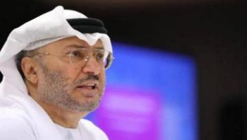 بطل حقيقي .. قرقاش يشيد بطيار هندي في فلاي دبي بطل حقيقي .. قرقاش يشيد بطيار هندي في فلاي دبي