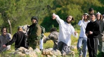 إصابة فلسطيني باعتداء مستوطنين شرق جنين إصابة فلسطيني باعتداء مستوطنين شرق جنين