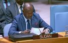 السودان: نزع سلاح الدعم السريع شرط أساسي لإنهاء الحرب