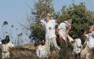 المستوطنون الصهاينة يصعدون اعتداءاتهم على الفلسطينيين في الضفة الغربية
