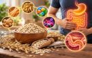 فوائد الشوفان للجهاز الهضمي.. كيف ينظم حركة الأمعاء ويغذي البكتيريا النافعة؟