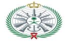 مقتل ضابطين سعوديين في تحطم طائرة عسكرية بنجران - ye