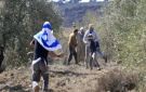 العدو الإسرائيلي ومستوطنوه يواصلون اعتداءاتهم ضد الفلسطينيين وممتلكاتهم في الضفة واقتحامات متتالية لمئات المستوطنين للمسجد الأقصى المبارك