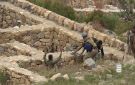 أنصار الله الحوثيون يعلنون الإفراج عن 159 عنصرا من القوات الحكومية في إطار عفو