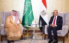 مصر والسعودية ترسمان خطوطا حمراء في البحر الأحمر والسودان - ye
