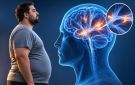 السمنة والمادة البيضاء في الدماغ.. هل تترك أثرا خفيا في شيخوخته؟