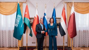 مصر: لن نسمح بتقسيم غزة وإسرائيل تعرقل سفر الفلسطينيين عبر رفح مصر: لن نسمح بتقسيم غزة وإسرائيل تعرقل سفر الفلسطينيين عبر رفح