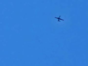 طائرات مسيرة أمريكية تحلق بكثافة في سماء وادي عبيدة في مأرب