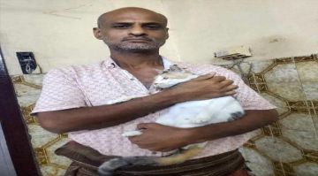 مناشدة إنسانية لدعم ملجأ خيري للقطط في مديرية المنصورة