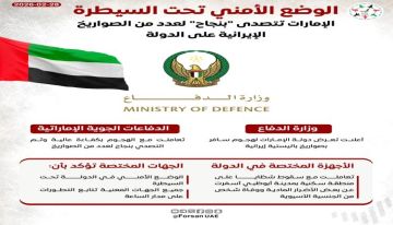 قرقاش : الإمارات بذلت جهودا كبيرة ومخلصة لتفادي الحرب