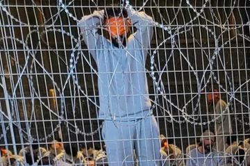 هل يملك القانون الدولي أدوات إنقاذ الأسرى من أحكام الإعدام؟