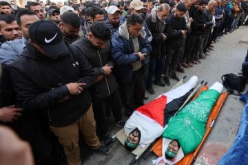 أكاديمية جنيف: عدد شهداء الإبادة الإسرائيلية في غزة قد تجاوز 200 ألف شخص