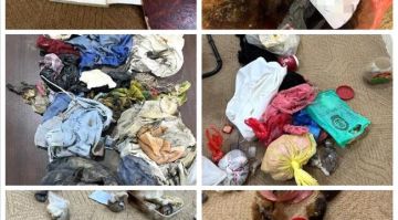 تفكيك أخطر شبكة سحر وشعوذة في شبوة