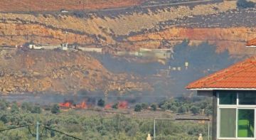 العدو الإسرائيلي يقتحم مدينة جنين ومستوطنون يحرقون أشجارا شمال رام الله