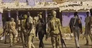 مرصد حقوقي يتهم الجيش السوداني باستهداف قوافل إنسانية بدارفور مرصد حقوقي يتهم الجيش السوداني باستهداف قوافل إنسانية بدارفور