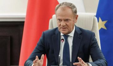 رئيس الوزراء البولندي: لن نرسل جنودنا إلى غزة