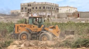 إزالة أشجار السيسبان من أودية المهرة استعدادا للمنخفض الجوي المحتمل