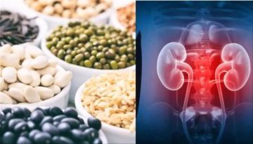 تأثير زيادة استهلاك البروتين على صحة الكلى