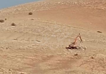 مستوطنون يسيجون أراض رعوية في الأغوار الشمالية وآخرون يحرقون غرفة زراعية شرق قلقيلية مستوطنون يسيجون أراض رعوية في الأغوار الشمالية وآخرون يحرقون غرفة زراعية شرق قلقيلية