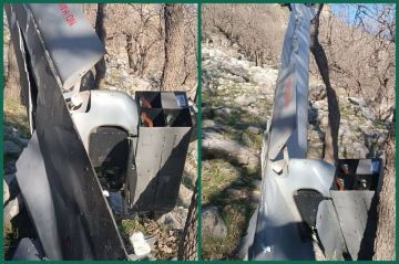 الجيش الإيراني: إسقاط طائرة مسيرة قتالية مسلحة للعدو الصهيوأمريكي في أجواء طهران