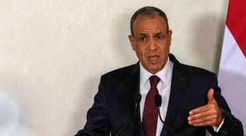 مصر تدعو إلى تشكيل قوة عربية مشتركة