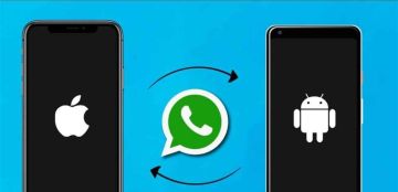 واتساب يتيح التنقل بين الحسابات ونقل البيانات بين أندرويد وآيفون