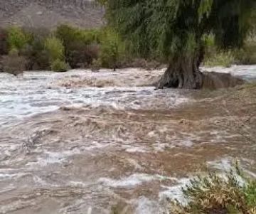 حضرموت تغرق تحت وطأة الأمطار الغزيرة.. طوفان وادي سمعون يشطر الشحر وطرق دولية مقطوعة وسيول تبتلع مركبات