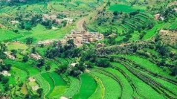 صادم!! هروب جماعي لرجال الأعمال من إب بعد تحويلهم لـ غنائم حرب.. وشيخ قبلي يفجر قنبلة! صادم!! هروب جماعي لرجال الأعمال من إب بعد تحويلهم لـ غنائم حرب.. وشيخ قبلي يفجر قنبلة!