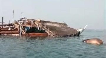 غرق سفينة قادمة من الصومال محملة بالمواشي قبالة سواحل رأس العارة