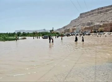 أول محافظة يمنية تعلن تعليق الدراسة في المدارس والجامعات بسبب الأمطار الغزيرة والسيول الجارفة