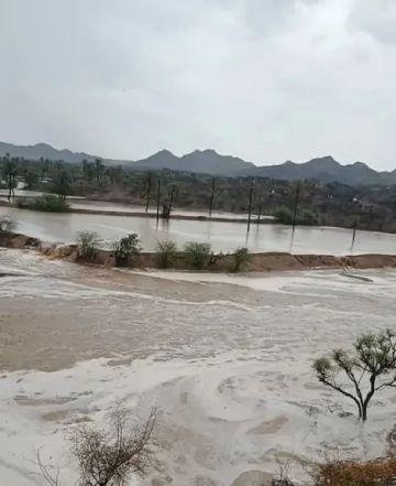 السيول تجتاح عددا من القرى غربي اليمن ووفاة وفقدان 9 مواطنين بينهم امرأة السيول تجتاح عددا من القرى غربي اليمن ووفاة وفقدان 9 مواطنين بينهم امرأة