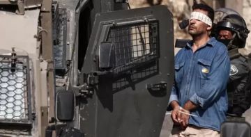 العدو الإسرائيلي يعتقل 13 فلسطينيا بينهم سيدة وطفل من الضفة الغربية